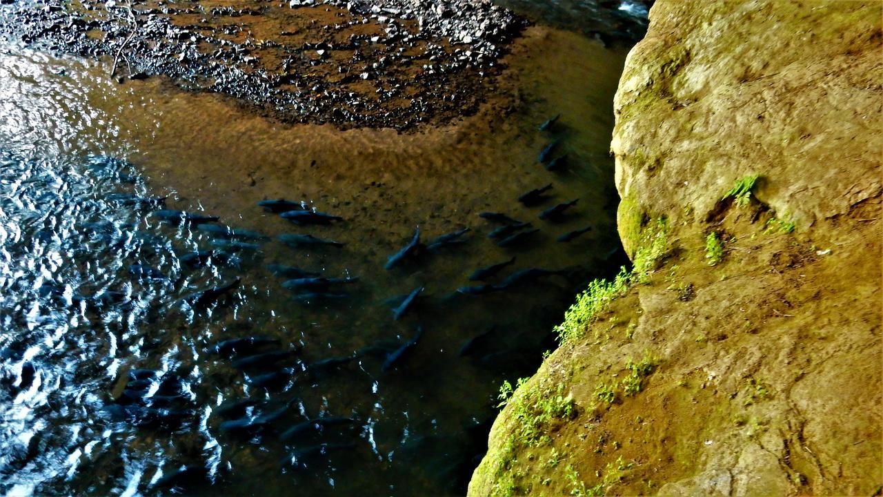 Riverside Ban Cho Lae Eksteriør bilde